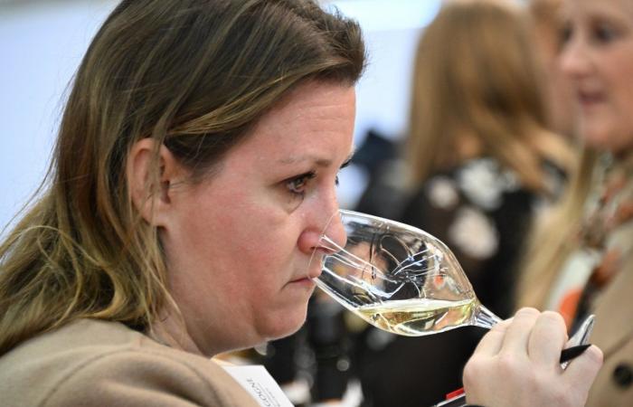 Vinos de Borgoña: Bienvenidos al reino de las degustaciones placenteras en Beaune