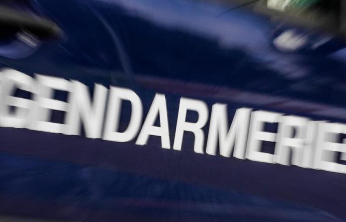 Cerca de Vendôme, la gendarmería detiene a dos traficantes de drogas