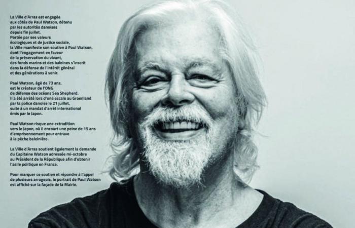 de-Calais – Política: Arras apoya a Paul Watson, detenido en Groenlandia