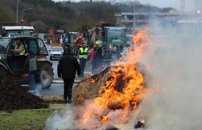 Incendios, concentraciones, reivindicaciones… Lo que nos espera en el Suroeste