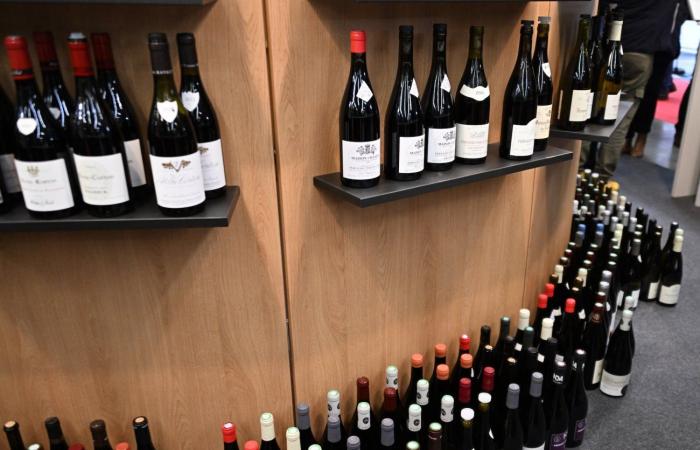 Vinos de Borgoña: Bienvenidos al reino de las degustaciones placenteras en Beaune