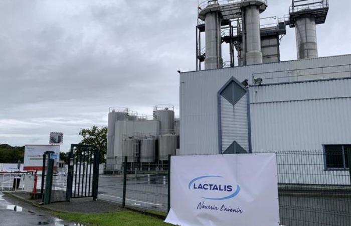 Lactalis y Unell suben el precio de la leche para 2025