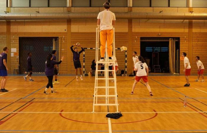 Deporte universitario: 3 medallas de oro en baloncesto, fútbol y balonmano para los alumnos de Le Creusot