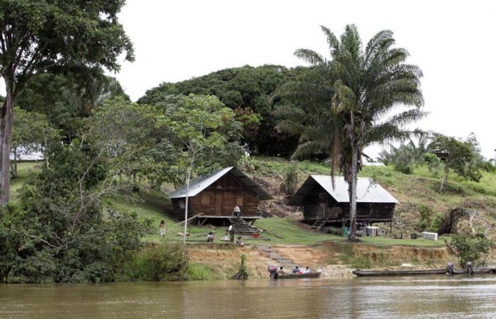 En Guyana, el Estado se moviliza ante las consecuencias de una sequía “intensa”