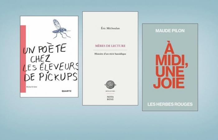 Tres ensayos en el punto de mira — Revue Les libraires