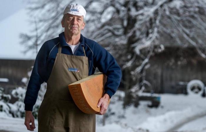 Los World Cheese Awards en Berna, plataforma de lanzamiento internacional para los queseros suizos