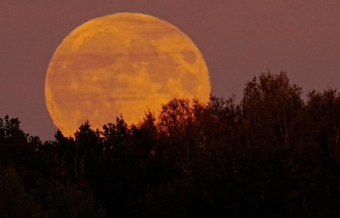 ¿Cuándo admirar la súper luna “castor” este viernes por la noche y por qué tiene este nombre?