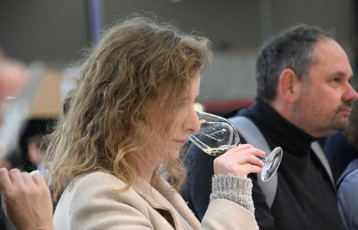 Vinos de Borgoña: Bienvenidos al reino de las degustaciones placenteras en Beaune