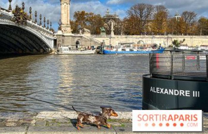 Paris Sausage Walk 2024: ¡el paseo del perro salchicha regresa a la capital este fin de semana!