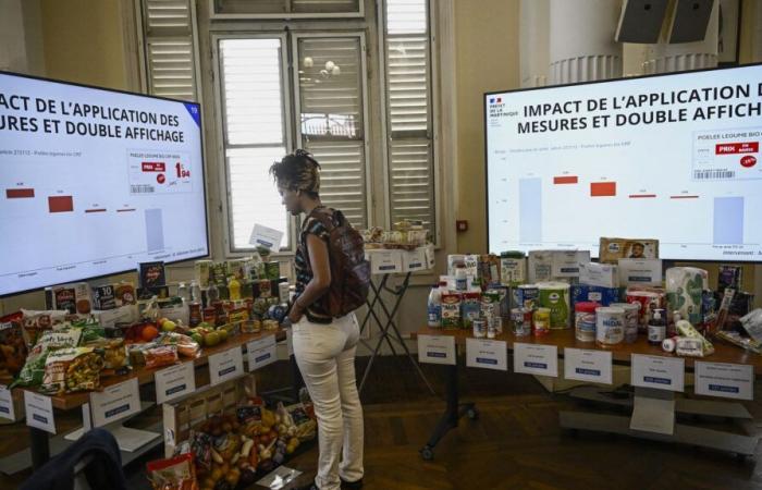 Las medidas contra el alto coste de la vida en Martinica plantean muchas preguntas