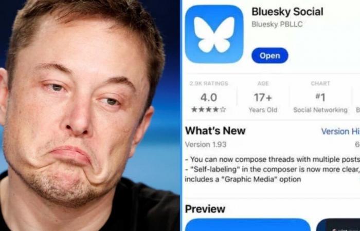 Bluesky se estrella cuando la X de Elon Musk se enfrenta al éxodo y Hollywood hace un cambio; Elton John, Whoopi Goldberg…