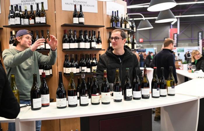 Vinos de Borgoña: Bienvenidos al reino de las degustaciones placenteras en Beaune