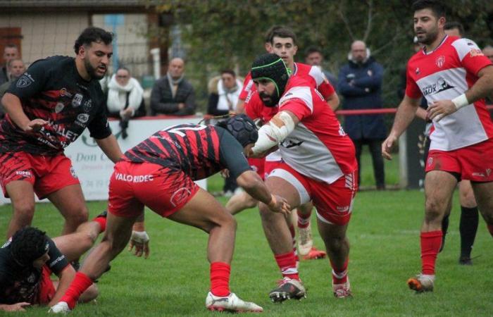 Rugby amateur (Federal 3). El US Tarascon-sur-Ariège desafía a La Salveta/Plaisance en un partido decisivo por el mantenimiento