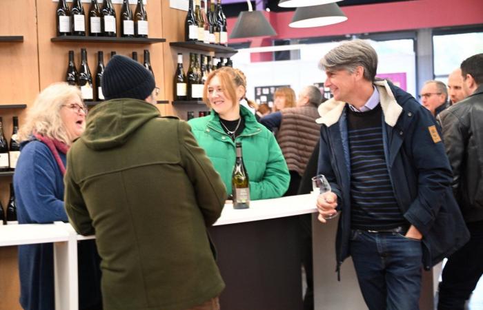 Vinos de Borgoña: Bienvenidos al reino de las degustaciones placenteras en Beaune