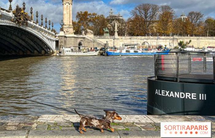 Paris Sausage Walk 2024: ¡el paseo del perro salchicha regresa a la capital este fin de semana!