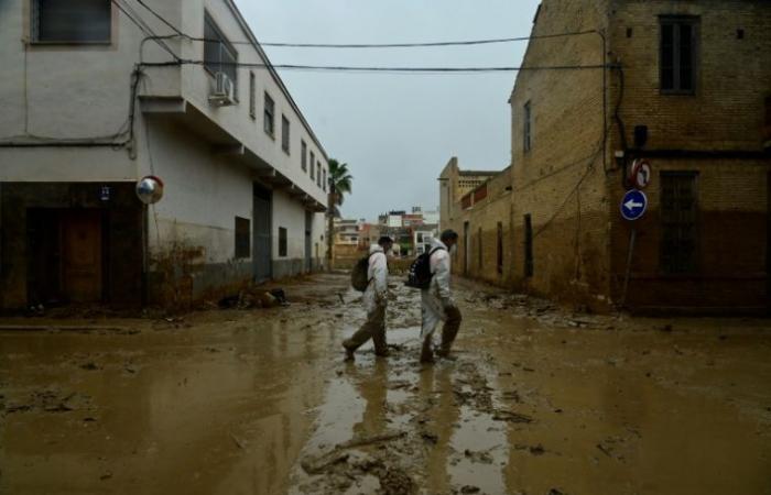 Inundaciones en España: el presidente regional admite “errores”, pero se niega a dimitir – 15/11/2024 a las 18.30 horas