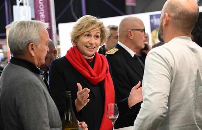 Vinos de Borgoña: Bienvenidos al reino de las degustaciones placenteras en Beaune