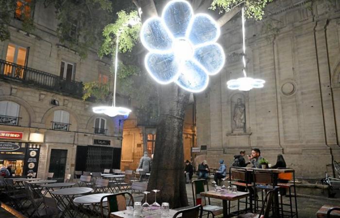 Heart of the City in Lights 2024: descubre nuestras cinco iluminaciones favoritas en Montpellier