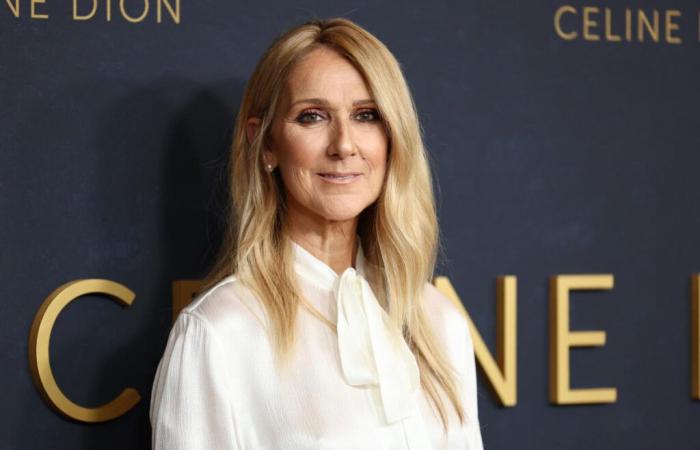 Celine Dion – “Estoy empezando a creer en los clones”, “Es realmente una diva”, “Es abrumadora. Tengo lágrimas en los ojos”: la estrella canta en el desfile de Elie Saab y los internautas enloquecen