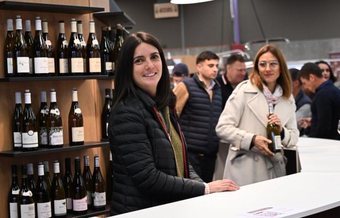 Vinos de Borgoña: Bienvenidos al reino de las degustaciones placenteras en Beaune