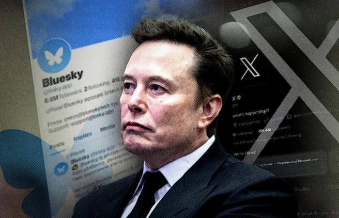 El éxodo de X: ¿podría el pico de Bluesky provocar el fin de la plataforma de redes sociales de Elon Musk? | Noticias de ciencia, clima y tecnología