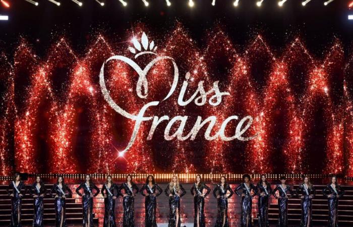 Revelados los retratos oficiales de las candidatas a Miss Francia