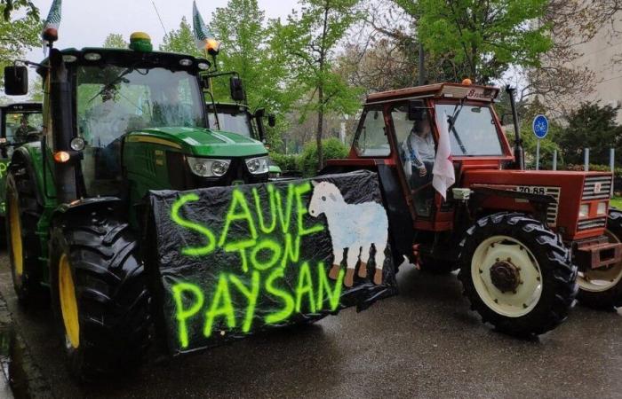 Movilización de los agricultores: ¿qué perturbaciones habrá en el Bajo Rin este lunes?