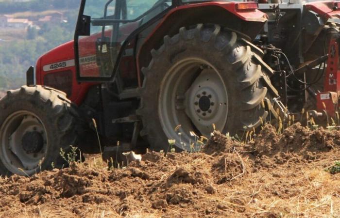 Un granjero muere aplastado por su tractor.