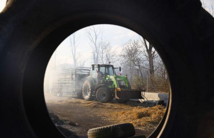 Varias manifestaciones previstas en Isère contra el acuerdo de libre comercio UE-Mercosur