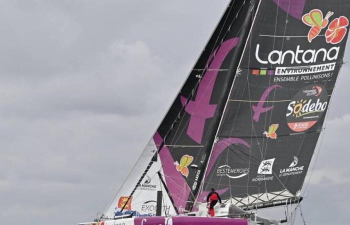 Vendée Globe. Daños en cascada para Louis Duc