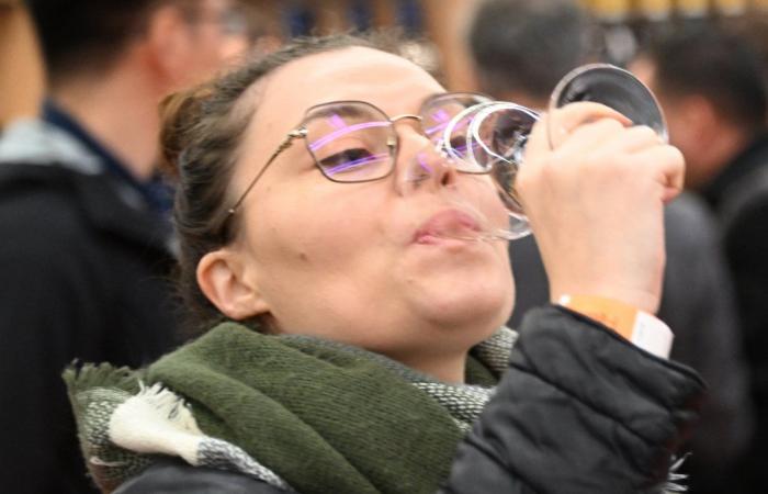 Vinos de Borgoña: Bienvenidos al reino de las degustaciones placenteras en Beaune