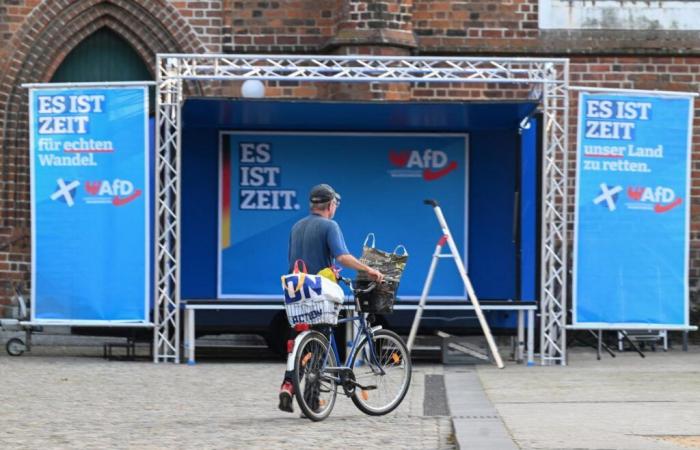 En Alemania, un gran nombre tecnológico pide un acuerdo entre la CDU y AfD