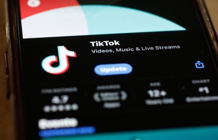 Tecnología: TikTok lanza una herramienta de inteligencia artificial para crear anuncios bajo demanda