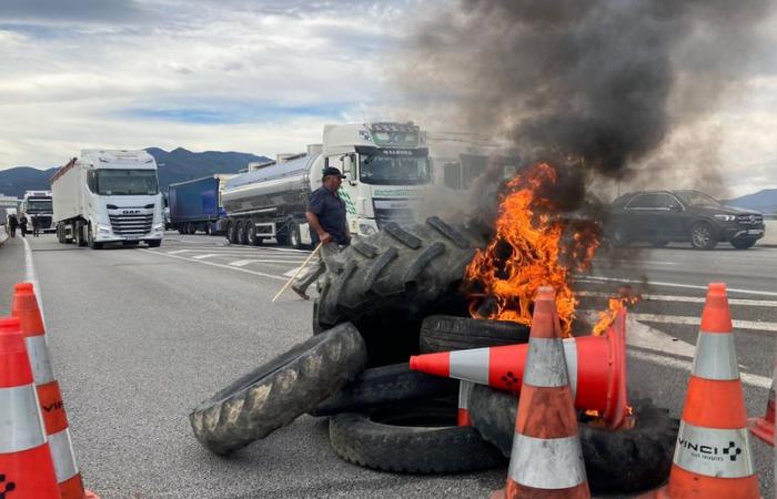 Enfado de los agricultores: “Vamos a bloquear la frontera con España este martes”, anuncia la Coordinación Rural de los Pirineos Orientales