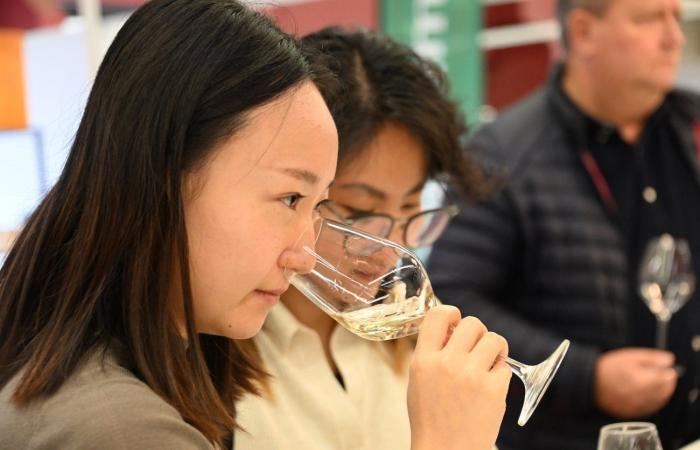 Vinos de Borgoña: Bienvenidos al reino de las degustaciones placenteras en Beaune