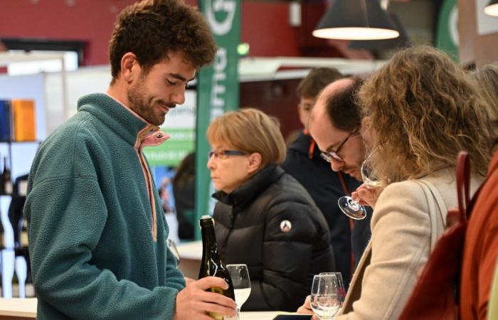 Vinos de Borgoña: Bienvenidos al reino de las degustaciones placenteras en Beaune