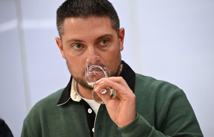 Vinos de Borgoña: Bienvenidos al reino de las degustaciones placenteras en Beaune