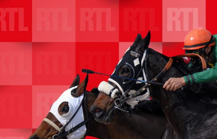 Quinté para el sábado 16 de noviembre de 2024 en Auteuil: las predicciones