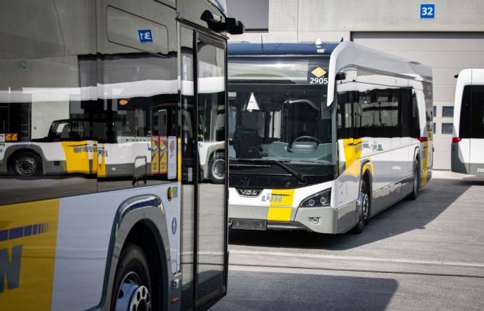 Escasez de conductores en De Lijn: la empresa reduce su oferta en varias regiones