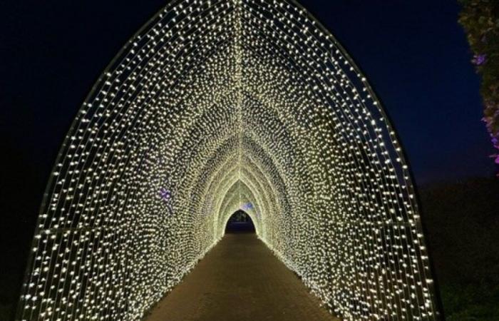 Lightscape, ZooLights, patinaje sobre hielo – NBC Chicago