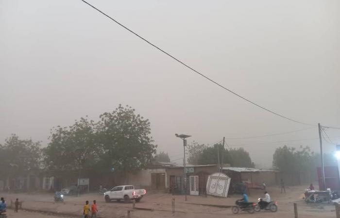 Aquí hay algunas enfermedades recurrentes durante el clima frío y formas de prevenirlas.