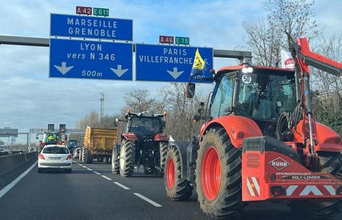 León. Los agricultores enojados del Ródano han vuelto: se planea una acción de choque