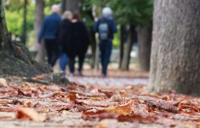 Sol y descenso de las temperaturas antes del regreso de las lluvias del Norte: el tiempo del fin de semana en Francia