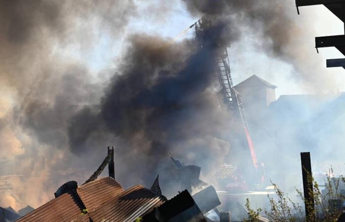 “Una parte de la economía local se esfumó”: el aserradero de Meuzac, en Alto Vienne, destruido por un incendio