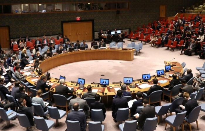 África Central: el Consejo de Seguridad de la ONU toma una…