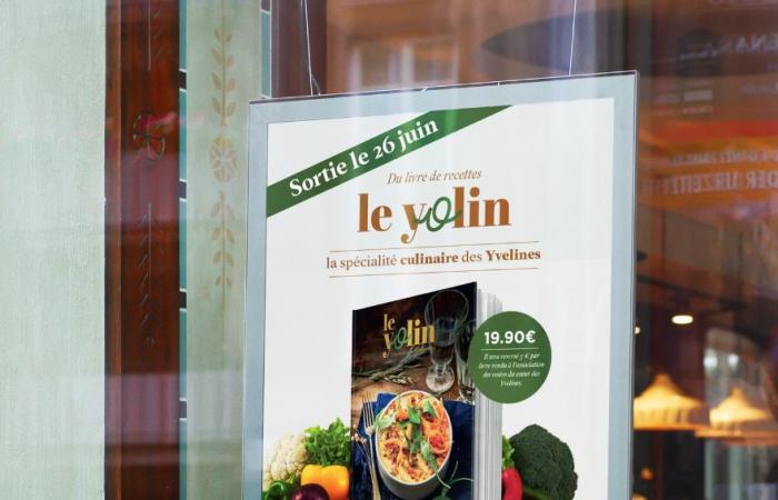 Recetas de los 259 municipios de Yvelines en el libro Yolin