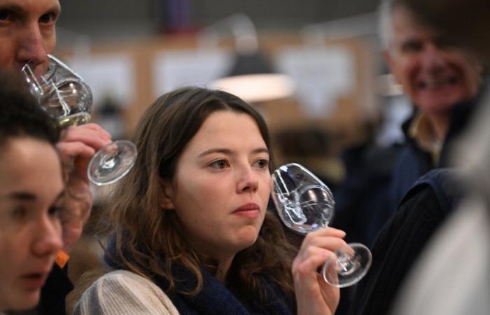 Vinos de Borgoña: Bienvenidos al reino de las degustaciones placenteras en Beaune