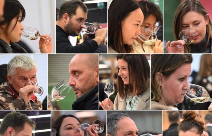 Vinos de Borgoña: Bienvenidos al reino de las degustaciones placenteras en Beaune