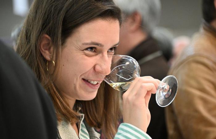 Vinos de Borgoña: Bienvenidos al reino de las degustaciones placenteras en Beaune