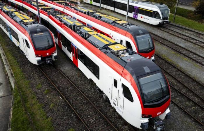 El mal tiempo ahoga las esperanzas de rentabilidad de Stadler